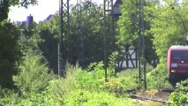 Züge bei Hattenheim am Rhein, RTS Taurus 183, SBB Cargo Re428, 145, 3x 185, 3x 428