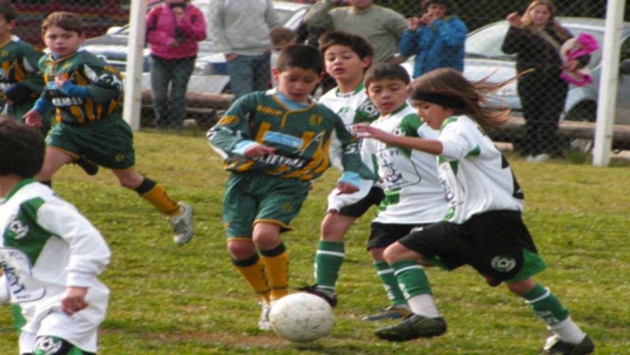 Categoría 2002 - Capítulo 1 - Año 2010