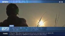 BFMTV Replay: Centrafrique: une jeune orpheline lance un cri d'alarme - 12/12