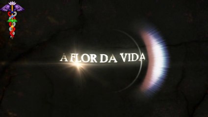 DOCTRINA DUCTOR - Capítulo 4