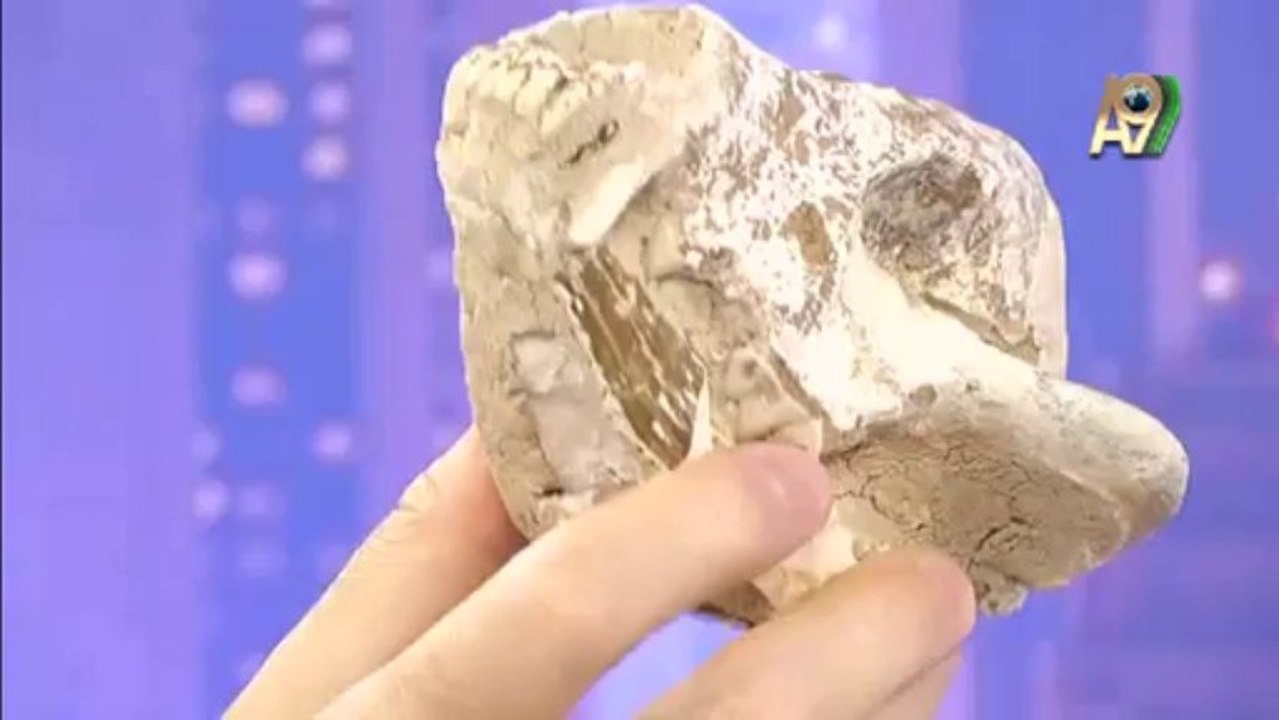 56 milyon yıllık tilki kafatası fosili, günümüzdeki örnekleriyle aynıdır.