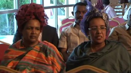 Somali leader names economist as new prime minister