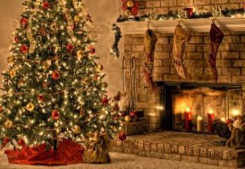 Why Christmas Tree Sales Are Taking A Hit In 2013