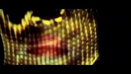 Stylish Music Videos: M.I.A.