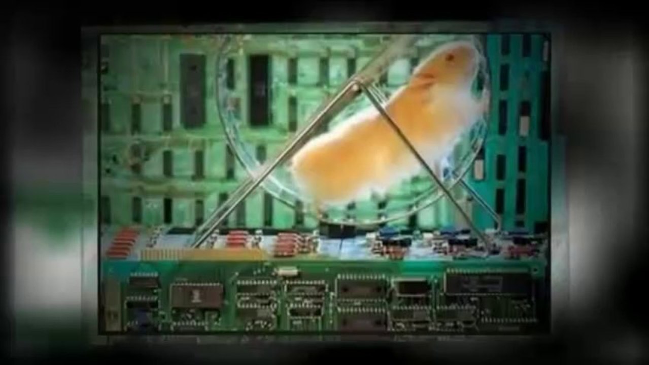 Smart PC Fixer Review - Smart PC Fixer 4.2