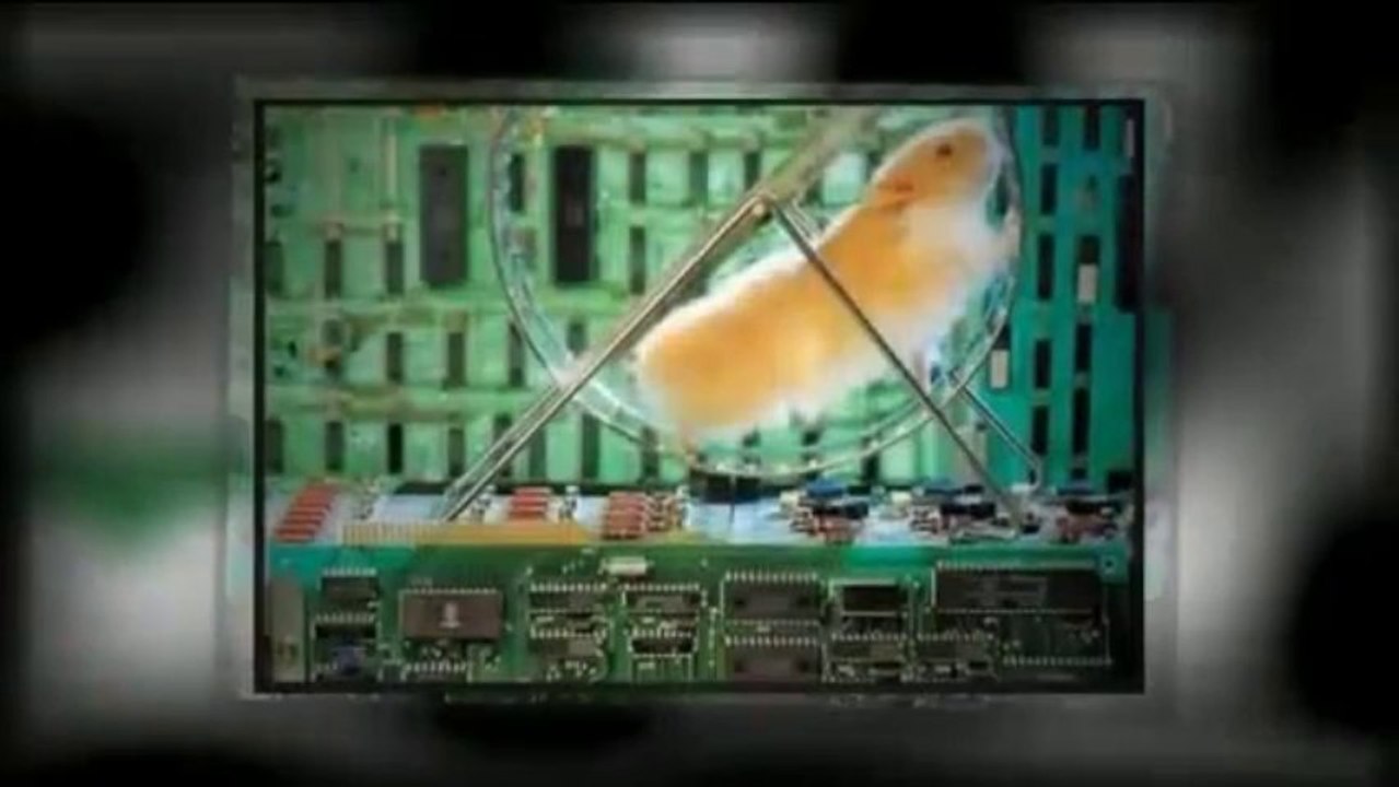 Smart PC Fixer License Key - Smart PC Fixer Keygen