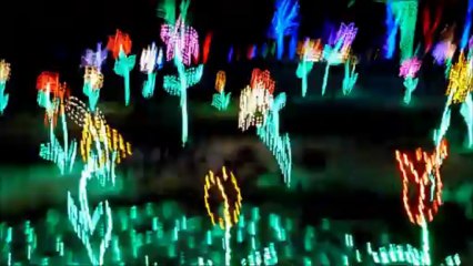 Meadowlark Botanical Gardens