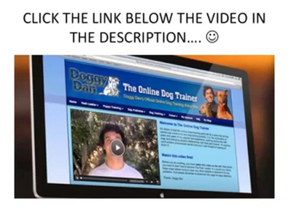 Does The Treatment For Your Dogs Separation Anxiety Really Work?