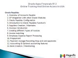 Oracle Apps Financials R12 Virtual Real Basic Concepts Training-Magnific Training