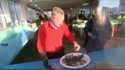 A l'approche des fêtes, la Garde républicaine surveille les parcs à huîtres