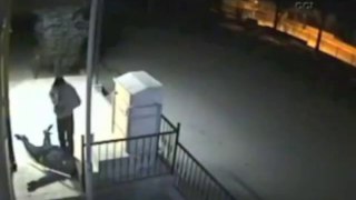 Video of Worst Thief Ever