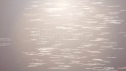 Text Form - After Effects Template