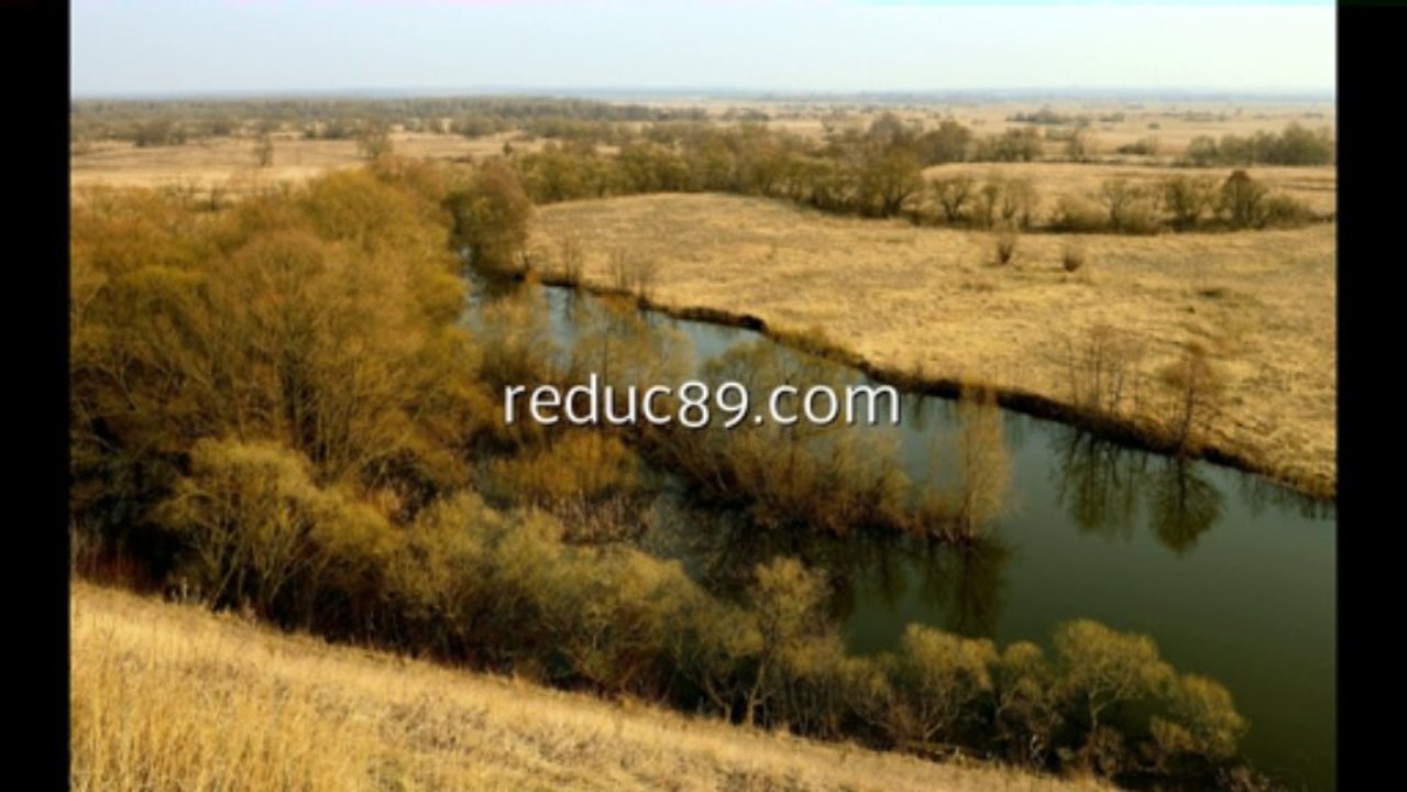 code reduc Idbus
