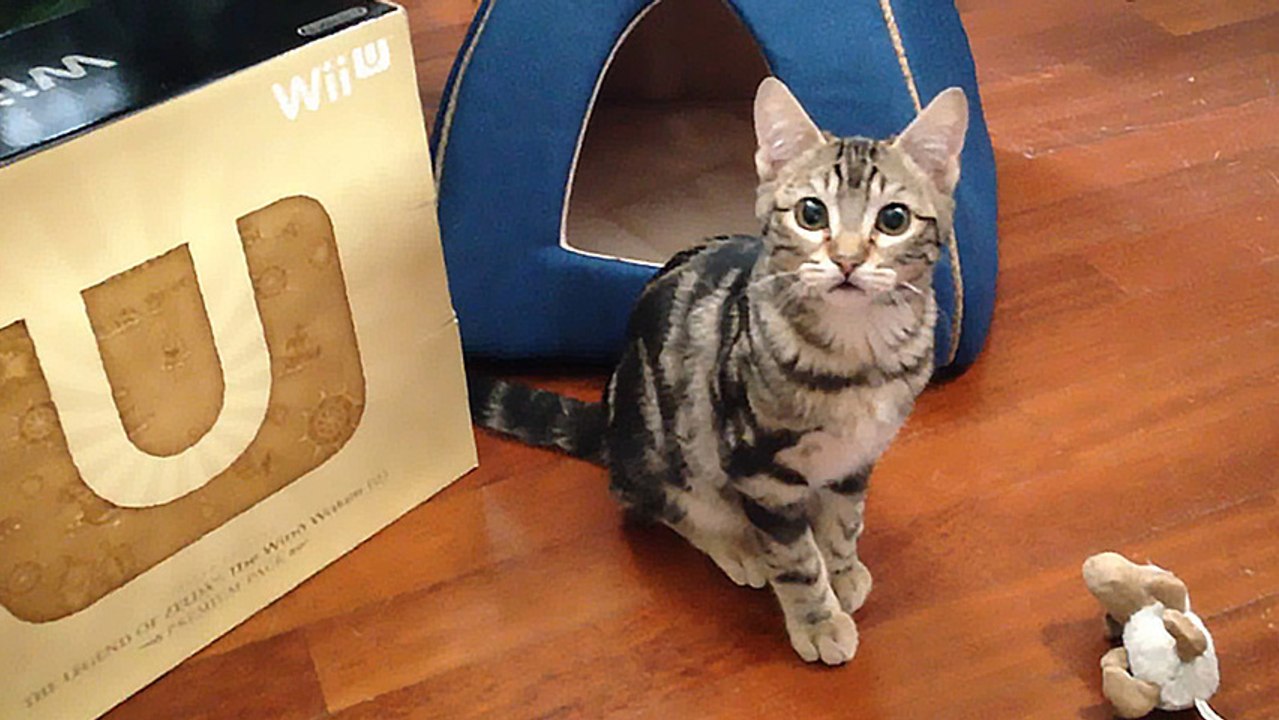 Unboxing Nintendo Wii U Limited Edition - The Legend of Zelda Wind Waker HD