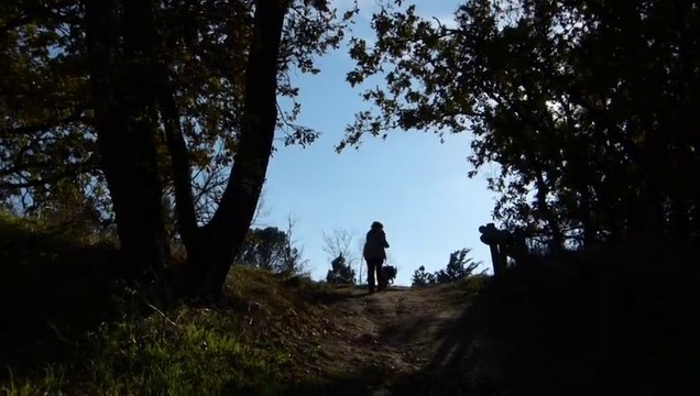 Mais où est donc passé ce chien ?