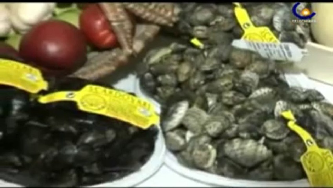 100804 Una guida per le eccellenze gastronomiche del polesine