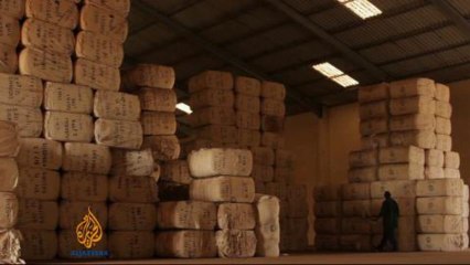 Senegal cotton farmers struggle to compete
