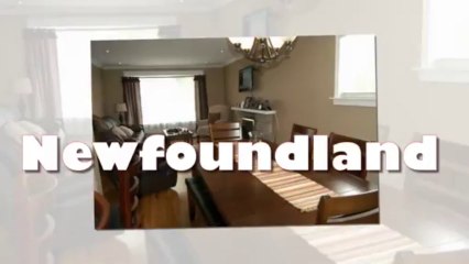 House Rentals St. John's NL