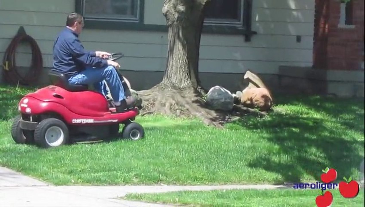look at his big yard