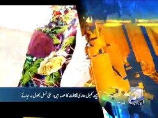 Geo Headlines-13 Dec 2013-2100