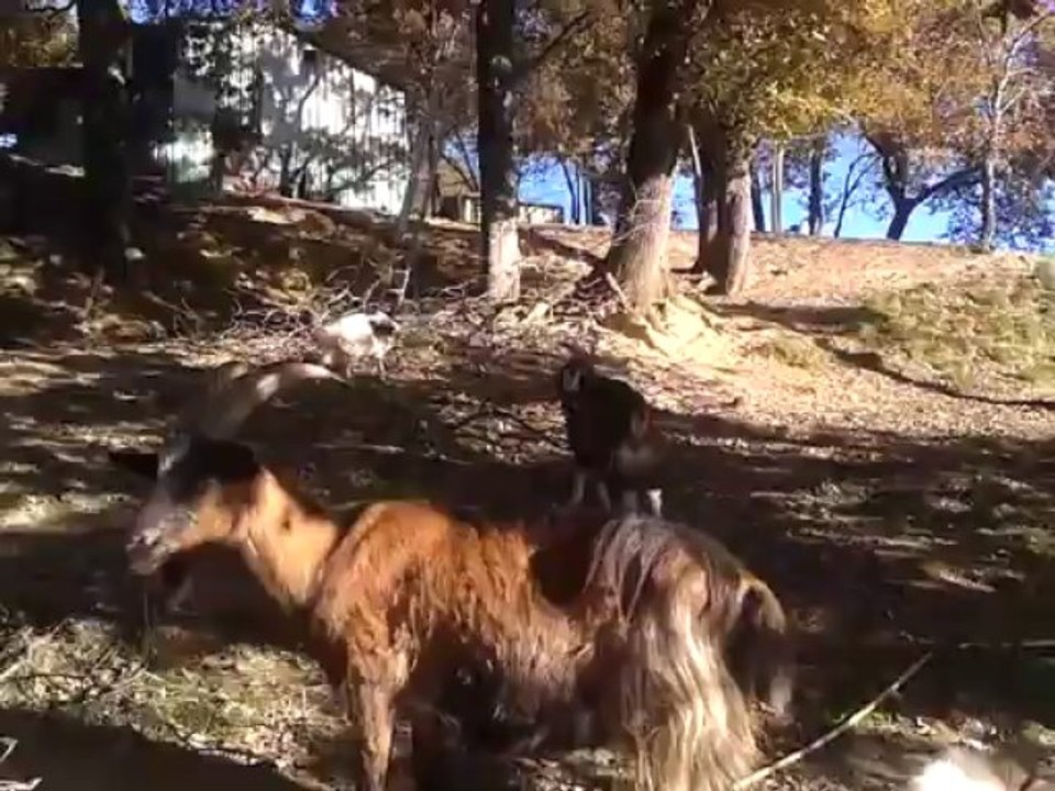 20131210_142844