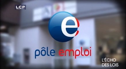 L’Écho des Lois : Pôle Emploi : quel travail !