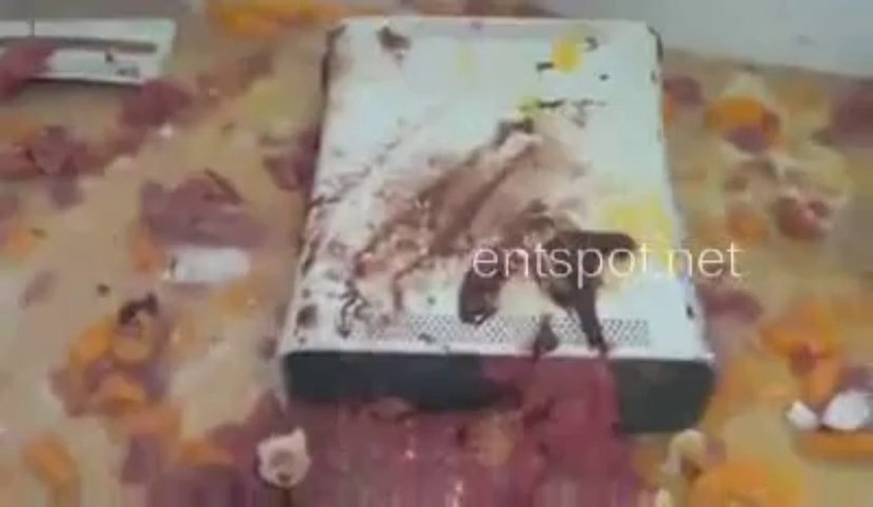 What the hell did I just watch