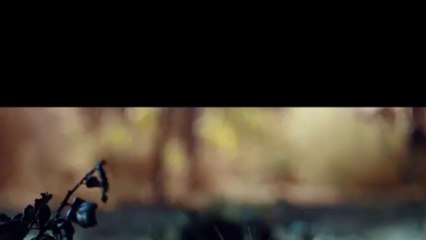 "Earth to Echo" - Teaser Trailer