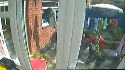 I have a bullet stuck to my head - Vlog Day 39 16/09/2011