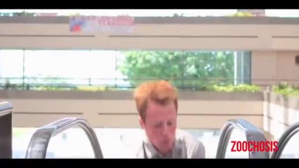 Zoochosis Presents Escalator (Low)