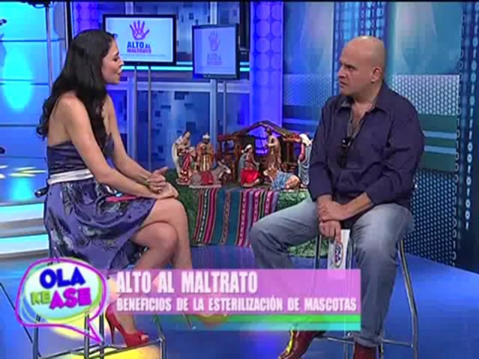 Campaña ‘Alto al maltrato’: beneficios de la esterilización de mascotas