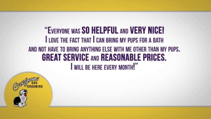 Self Service Dog Wash Fauquier VA