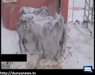 Ajeeb O Ghareeb News - Dont Miss