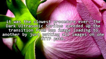 Understanding A Life Of Dark Ultrasonic Sprites Revealed