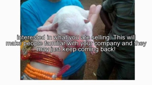 Quick Internet Marketing Tips For Your Business