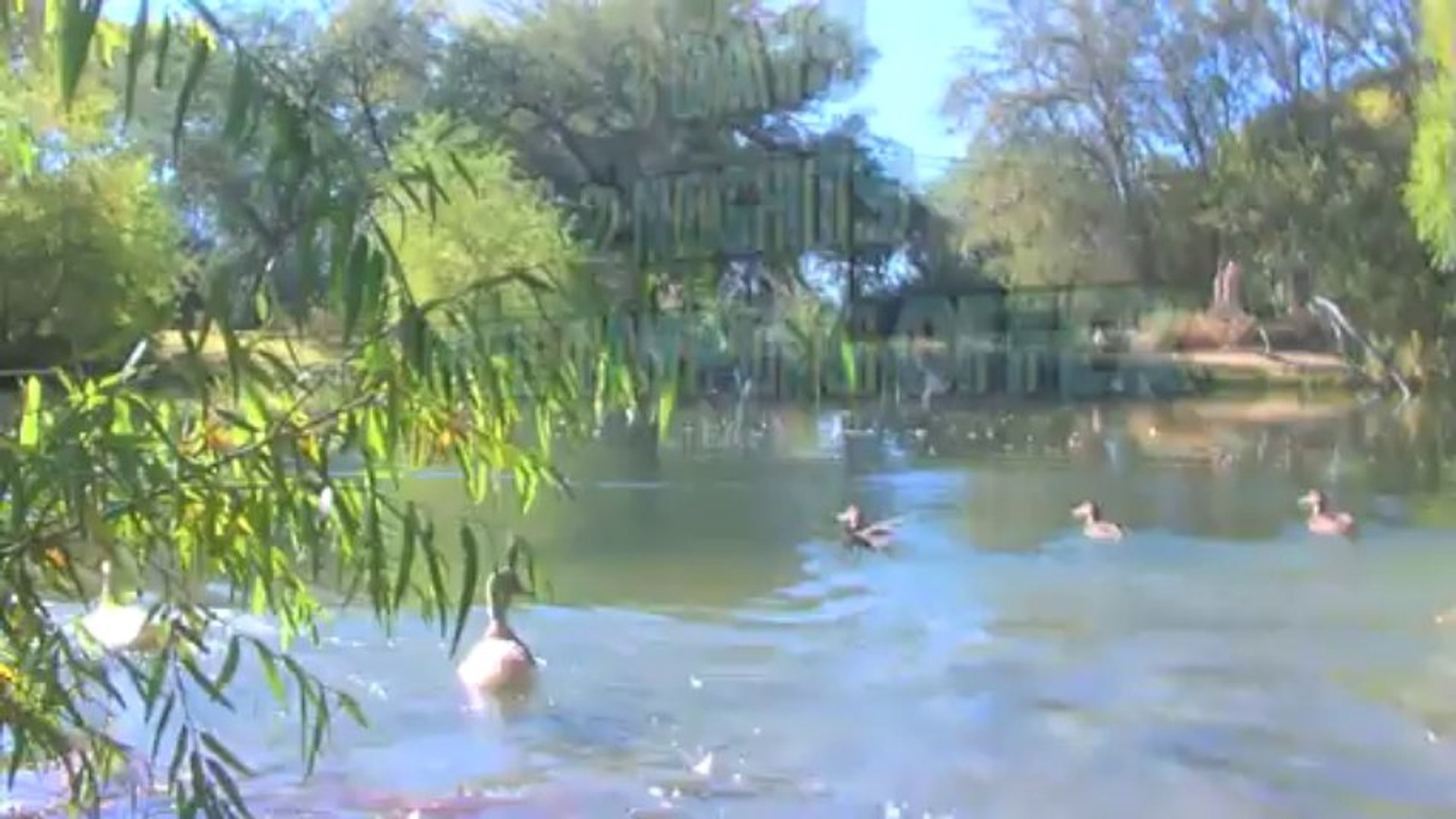 ⁣Historic Tucson RV Parks St David RV Resort