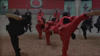 Jaguar Skills & Eclectic Method - NINJA