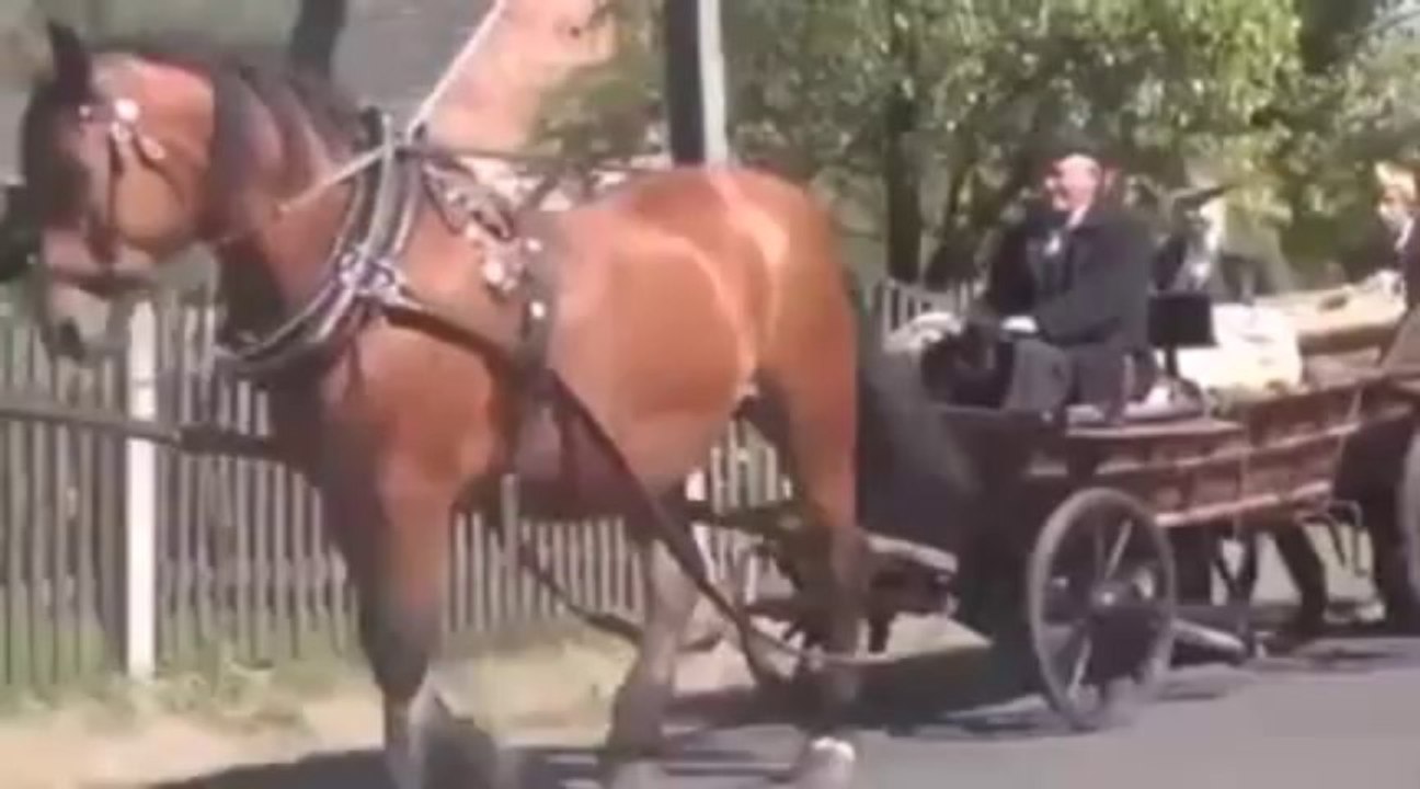 WWII Movie Fail