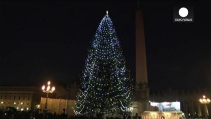 El Vaticano ya tiene su tradicional árbol de Navidad