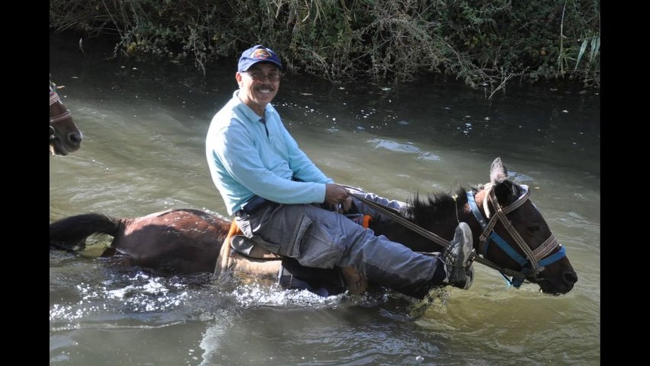 At Safari Kadir Yaraşlı 12/10/2013