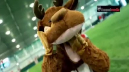 Un mystérieux renne s'invite dans le vestiaire d'Arsenal !