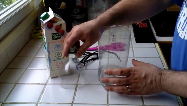 Comment fabriquer un piège a guêpes