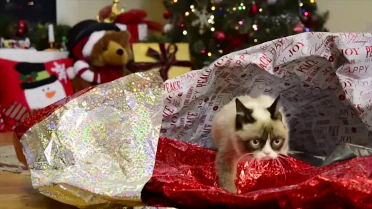 Grumpy Cat Stars in _Hard To Be a Cat at Christmas_ Music Vi