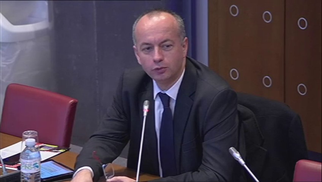 Organisation de la permanence des soins : audition Fédération nationale des sapeurs-pompiers de France