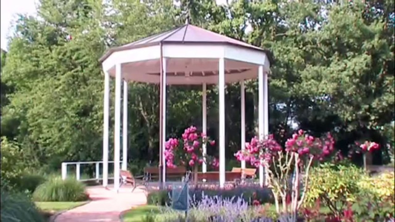 Auf großer Tour durch den VRS 2013-7 – Drachenfels und Bornheim