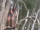 Epic Tarzan FAIL - Jump from the tree and fall