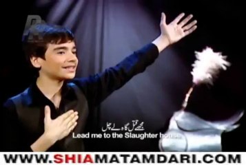 Ali Jee - Zuljenah 2013_14 علی جی شگفت انگیز بچه پاکستان ShiaMatamdari.com