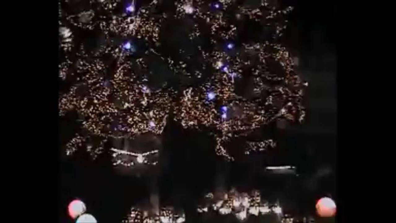 Le Grand Sapin de Noël 2013 de Strasbourg et son Petit Village Alsacien