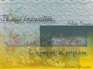 Arlette Paradis Artiste peintre +