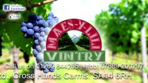 Inside Maes-Y-Lili Vintry Off Licence, Wine & Spirit Merchant, Cross Hands